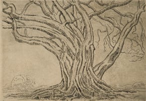 Jacob Hendrik Pierneef; Tree with Exposed Roots