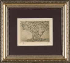 Jacob Hendrik Pierneef; Tree with Exposed Roots