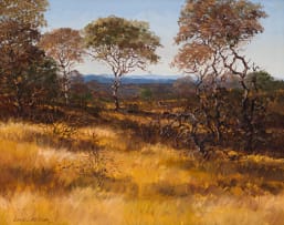 Andre de Beer; Landscape with Trees