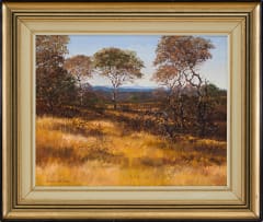 Andre de Beer; Landscape with Trees