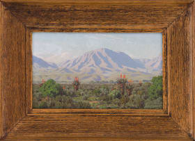 Jan Ernst Abraham Volschenk; Riversdale Veld and Hills