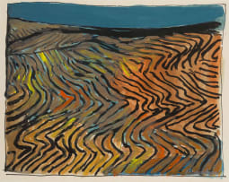 Brian Bradshaw; Desert Lines
