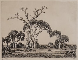 Jacob Hendrik Pierneef; Bushveld, Northern Transvaal