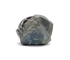 John Carlyon; Lizzard (sic)