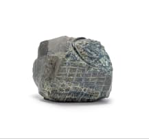 John Carlyon; Lizzard (sic)