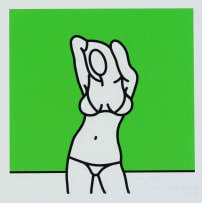 Richard Scott; My Green Carmen