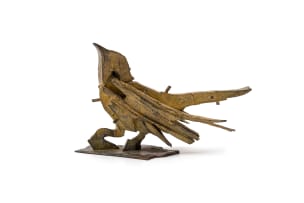 Sarel Petrus; Bird