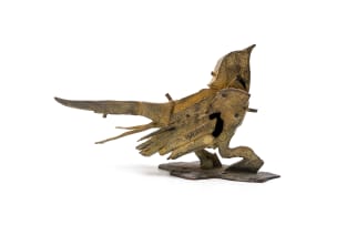 Sarel Petrus; Bird