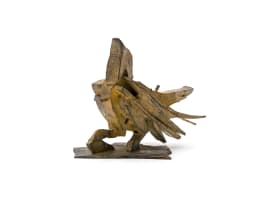 Sarel Petrus; Bird