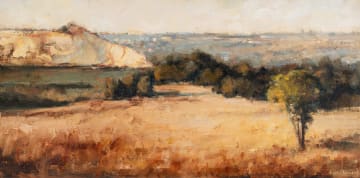 Walter Voigt; Open Veld with Mine Dump, West Rand