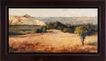 Walter Voigt; Open Veld with Mine Dump, West Rand