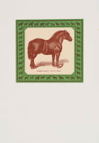 Robert Hodgins and Jan Neethling; Belgian Stallion 'Prince Royal'; French Coach Stallion 'Kervela' (1342); Shire Stallion 'Honest Tom' (1105); Clydesdale Stallion 'Prince Patrick', four
