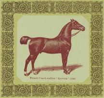 Robert Hodgins and Jan Neethling; Belgian Stallion 'Prince Royal'; French Coach Stallion 'Kervela' (1342); Shire Stallion 'Honest Tom' (1105); Clydesdale Stallion 'Prince Patrick', four