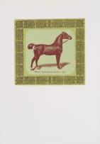 Robert Hodgins and Jan Neethling; Belgian Stallion 'Prince Royal'; French Coach Stallion 'Kervela' (1342); Shire Stallion 'Honest Tom' (1105); Clydesdale Stallion 'Prince Patrick', four