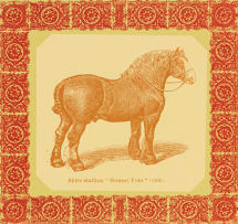 Robert Hodgins and Jan Neethling; Belgian Stallion 'Prince Royal'; French Coach Stallion 'Kervela' (1342); Shire Stallion 'Honest Tom' (1105); Clydesdale Stallion 'Prince Patrick', four