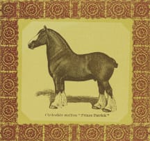 Robert Hodgins and Jan Neethling; Belgian Stallion 'Prince Royal'; French Coach Stallion 'Kervela' (1342); Shire Stallion 'Honest Tom' (1105); Clydesdale Stallion 'Prince Patrick', four