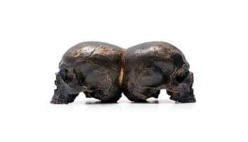 Guy du Toit; Skulls Pos+Neg