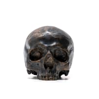Guy du Toit; Skulls Pos+Neg