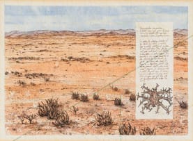 Retha Buitendach; Damaraland: Field Notes 2