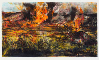 Kim Berman; Element of Truth Highveld Fire I