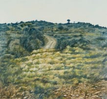 Peter Midlane; Karoo Landscape I