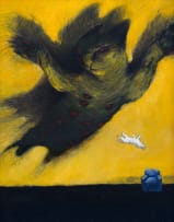 Lise van Schaik; Flying Cat