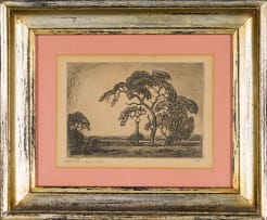 Jacob Hendrik Pierneef; Camel Thorn, Springbok Flats