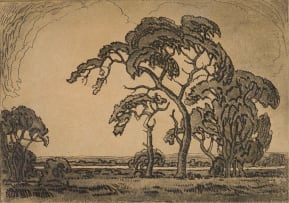 Jacob Hendrik Pierneef; Camel Thorn, Springbok Flats