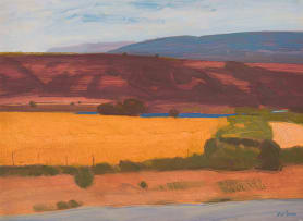 Nico Verboom; Karoo Landscape