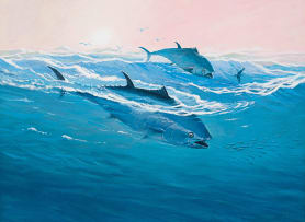 John Meyer; Tuna Fish