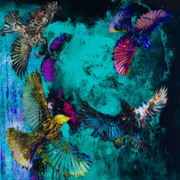 Gail Catlin; Birds in Flight