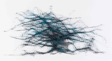 Amanda Coppes-Martin; Irreversible Succession