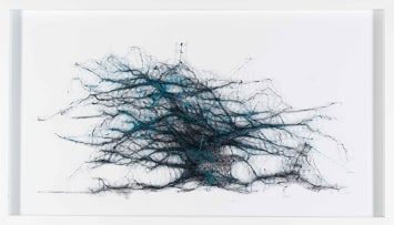 Amanda Coppes-Martin; Irreversible Succession