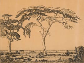 Jacob Hendrik Pierneef; Camelthorn Springbok Flats