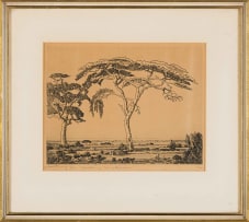 Jacob Hendrik Pierneef; Camelthorn Springbok Flats