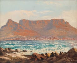 Tinus de Jongh; Table Mountain