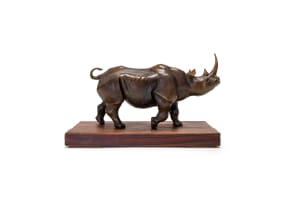 Maureen Quin; Black Rhino