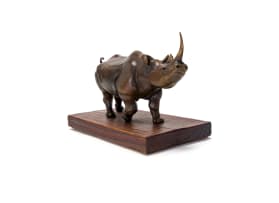 Maureen Quin; Black Rhino