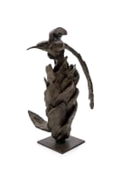 Dylan Lewis; Cape Sugarbird (S341)