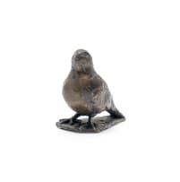 Guy du Toit; Bird