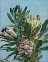 Robert Broadley; Proteas