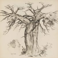 Otto Klar; Baobab