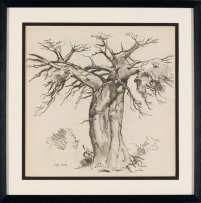 Otto Klar; Baobab
