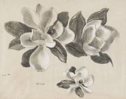 Otto Klar; Magnolia Study