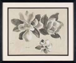 Otto Klar; Magnolia Study