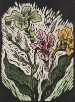 Gregoire Boonzaier; Canna Lilies
