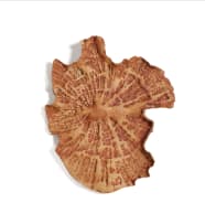 Natasha Bezuidenhout; Untitled (Earth-mapping I), Ochre