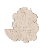 Natasha Bezuidenhout; Untitled (Earth-mapping I), White