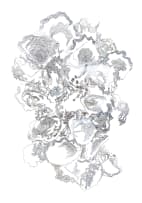 Nellien Brewer; Oyster I