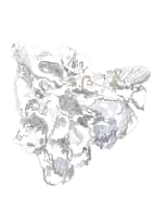 Nellien Brewer; Oyster II